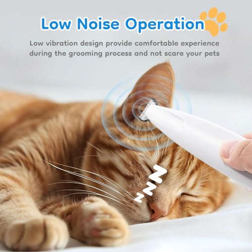 Image of Pet Razor, Waterproof Paw Hair Trimmer, Cat Clipper, Low Noise Dog Shaver, Rechargeable Paw Cutter with LED Light for Dogs and Cats