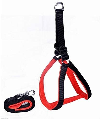 Pups&Pets Pet Nylon Soft Padded Body Reflective Adjustable Breathable Long Set-Leash & Harness Collar for Puppy Outdoor Training and Running Set Black/Red (Small 20 MM) (B09QT86RF2) Amazon Price History, Amazon Price Tracker