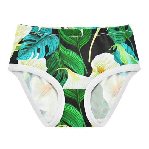 Toddler Underwear Custom 2t Cotton Panties for Girl Print Underpants Briefs Floral White Calla Lilies Green Palm