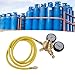 Imagen de Controlador de presión de nitrógeno estable Kit de prueba de latón entrada salida con manguera de 200 cm para diferentes escenarios de aplicación de nitrógeno