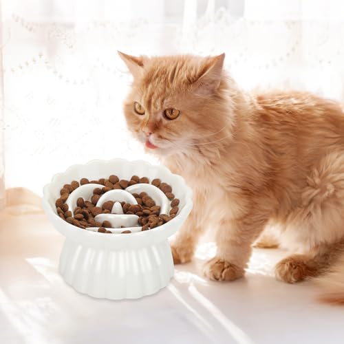 IDOGCHEW Keramik Anti Schling Napf Katze Erhöht, Slow Feeder Nassfutter, sehr gut rutschfest, einfach zu reinigen, Antischlingnapf für Katzen und kleine Hunde (Weiß)