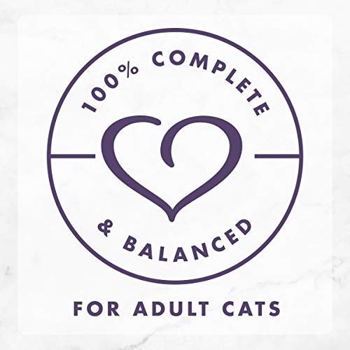 Fancy Feast Grilled Wet Cat Food Beef Feast in Wet Cat Food Gravy - (24) 3 Oz. Cans - Image 5