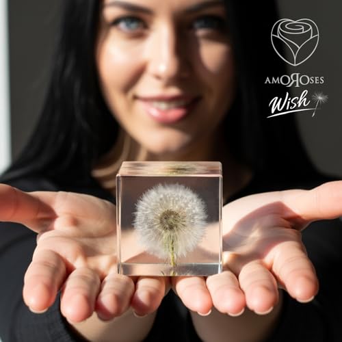 Diente de león auténtico Amoroses WISH idea regalo original elegante 3