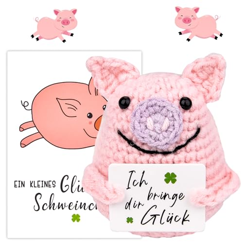 Pipihome Pocket Hug Schwein,Positive Geschenke Glücksschweinchen,Kreative Strickwolle Minischwein Puppe,Glücksbringer,Gute Besserung Geschenk,Mutmacher Geschenke für Mama Frauen Freund