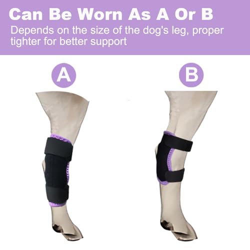 Image of Short Rear Leg Braces for Dogs, Dog Leg Brace for Joint Injury, Sprain Protection, Wound Healing and Loss of Stability from Arthritis, Dog Leg Sleeve with Flexible Straps for Post-Op, 1 Pair, Large