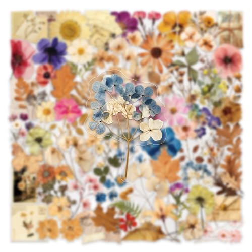 Image of 100PCS Transparent Flora Scrapbook Stickers, Vintage Aesthetic Flowers Sticker for Scrapbooks Travel Journal, Vinyl Waterproof for Water Bottles Laptop Phone Scrapbook Supplies DIY Crafts (Flower-AB)