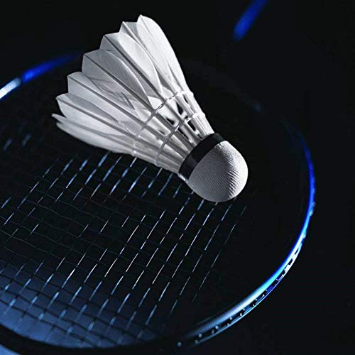 iheyfill 12 Stück Badminton Bälle,Gänsefeder Badminton Federbälle,Naturfederbälle Federball Shuttle Mit Gänsefedern Federball Shuttlecocks Badmintonbälle