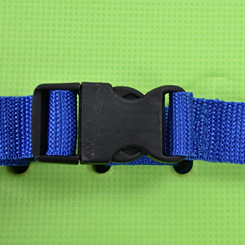 Entrenador flotador para natación Fdit EVA espalda miniatura 2