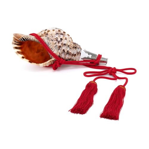 ɐ - { - @L قL y J ̌t ^@^Cv 14C` No.75