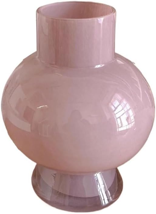 Dining Table Decor Simple Big Belly Hydroponic Flower Vase Living Room Entrance Glass Decoration Kitchen Decor(B)