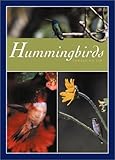 Hummingbirds : Jewels on Air