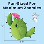 Barkbox 2 in 1 Interactive Plush Dog Toy - Rip and Reveal Toy for Dogs and Puppies - Stimulating Squeaky Pet Toys | Consuela Cactus (Large) - Image 4