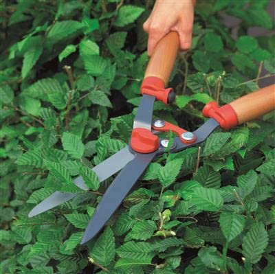 Foto von WOLF Garten WOLF-Garten - Heckenschere mit Getriebetechnik HS-G; 7426000