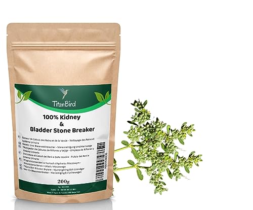 TitanBird Spaccapietra