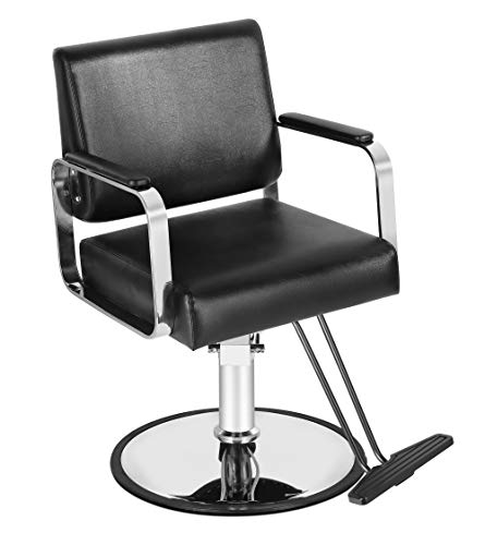 Danyel Beauty Salon Chair Barber Chair Heavy Duty Hydraulic Beauty Styling Chair(Black)