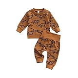 Infant Baby Boys Fall Clothes Set Animal Print Pullover Sweatshirt Top Pants 2Pcs Dogs Outfits Track