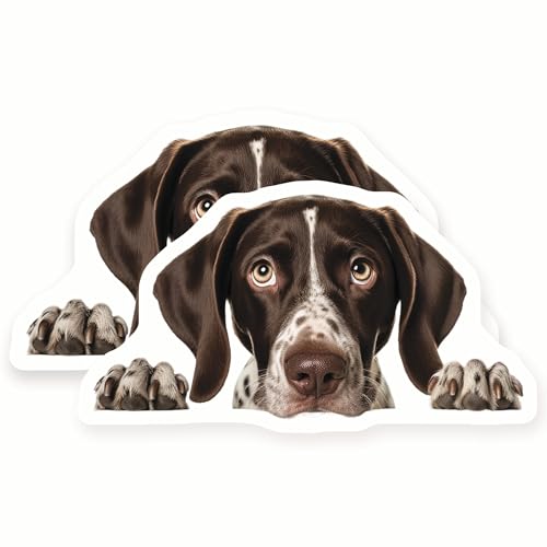 Imanes Decorativos de Perro Pointer Alemán 2 Unidades