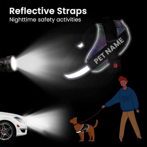 Image of Berlin's Police K9 Dog Harness with Leash, Dog Vest with Handle, Reflective Adjustable No-Pull Harness for Dogs Heavy Duty Nylon, for Training, Patrol, Hiking (Multicolor, Small (5-12Kg))