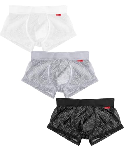 Mens Mesh Trunks Underwear See Through Boxer Briefs