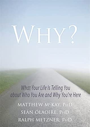 Why?: What Your Life Is Telling You about Who You Are and Why You're Here-Wow! eBook