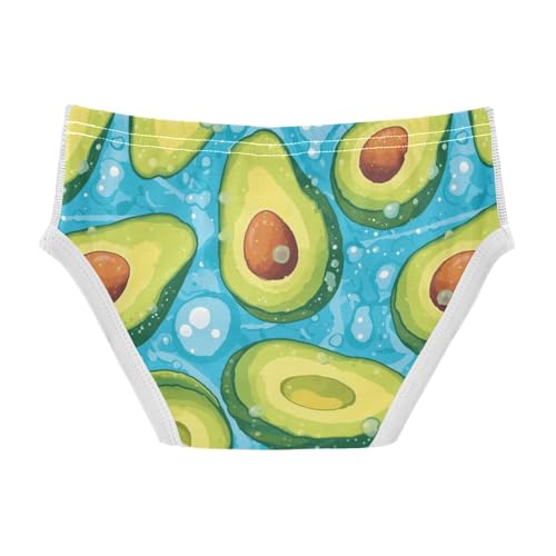 Wusikd Avocado Boys' Underwear Cotton Water Boys Briefs Soft Toddler Underwear 2T2