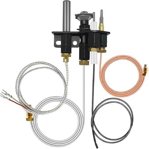 Ensemble pilote au gaz naturel 69L17 d'une robustesse maximale