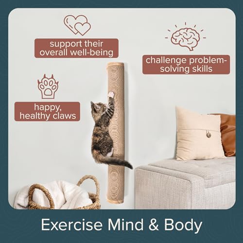 Image of Floating Cat Shelf & Perch - Wall-Mounted Climbing Furniture for Cats - Moonbeam Path | Ascentials by FurHaven