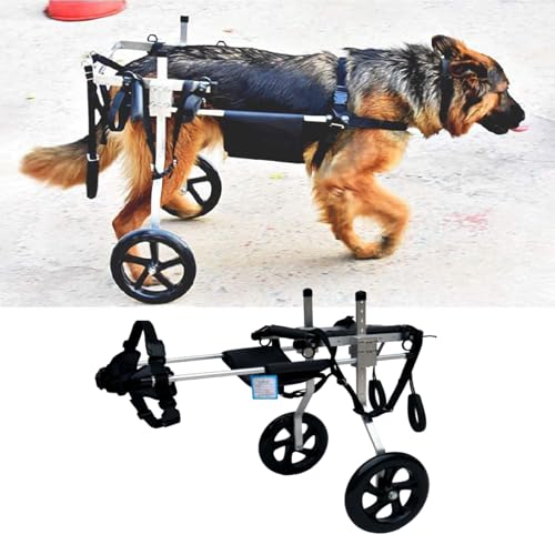 Silla de ruedas para perros grandes – Soporte de pierna trasera ajustable para asistencia de movilidad, carrito de 2 ruedas para pastores alemanes y labradores