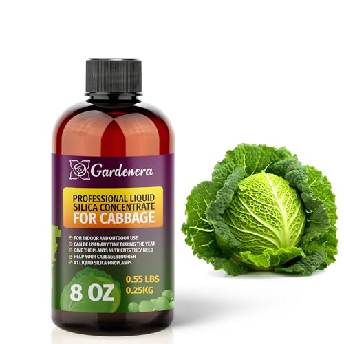 𝐏𝐑𝐄𝐌𝐈𝐔𝐌 Liquid Silica Plant Supplement - 8oz (250mL) - Cabbage Plants Liquid...