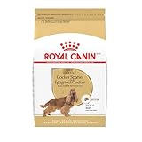 Royal Canin Breed Health Nutrition Cocker Spaniel Adult Dry Dog Food, 6 lb Bag