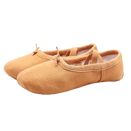 Women's Ballet Shoes Portable Adult Dance Shoes Stretch Canvas Flat Dance Practice Shoe for Women4