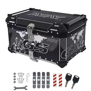 41tflo1vwyl. sl500 . ss300