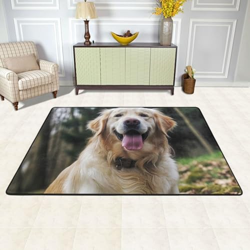 Tapis d'intérieur absorbant grand tapis de sol chambre