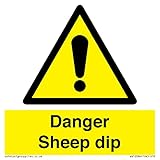 Viking Signs