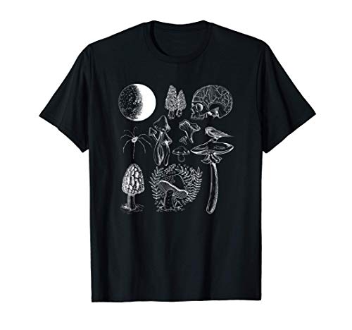 chaga mushrooms fungi cordyceps T-Shirt