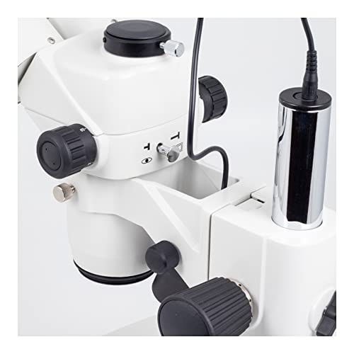 Image of Motic 1100200500451 Smz-168 Tiled Stereo Zoom Trinocular