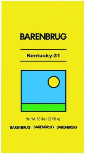 Barenbrug Kentucky 31 Tall Fescue Grass Seed 50 lb.