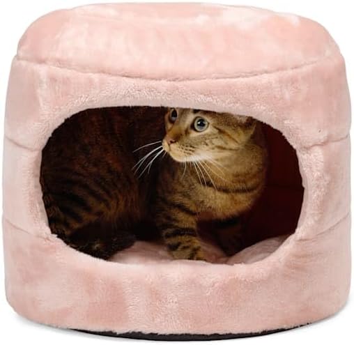 EveryYay by Petco Honeycomb 2-in-1 Convertible Cat Bed 15.75" L X 15.75" W X 13.5" H Small