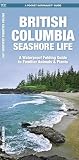 British Columbia Seashore Life, 3rd Ed: A Folding Pocket Guide to Familiar Animals & Plants (Nature...