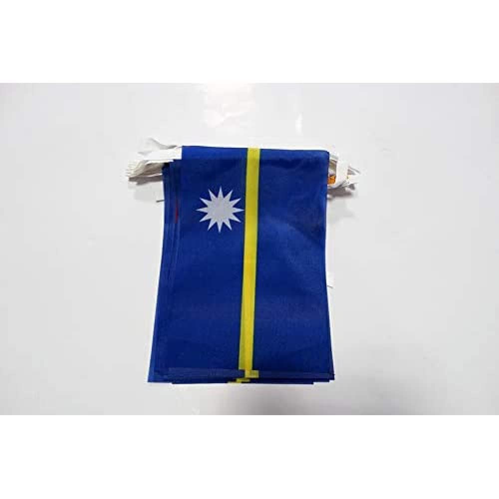 AZ FLAG Nauru Bunting Flag, 20 Ft Garland with 20 Small Nauruan Flags 8'' x 6'', 100% Polyester String Pennant, 6 meters — image 1