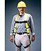 Honeywell Friction Buckle Shoulder Straps and mating Buckle Chest and Leg Straps, Shoulder and Side Dees - Universal 650-25/UYK