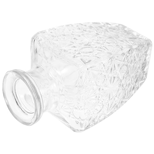 STOBAZA Botella de Vidrio para Bebidas Garrafa para Vino para Jugos