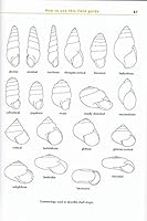 Field Guide to the Land Snails and Slugs of Eastern South Africa 0620324155 Book Cover