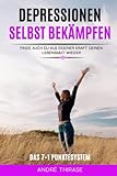 Depressionen selbst bekämpfen: Finde auch du aus eigener Kraft deinen Lebensmut wieder Das 7+1 Punktesystem - Andre Thirase 