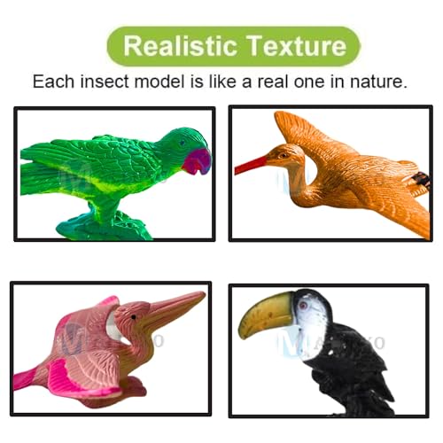 Image of Big Size Soft PVC Bird Animal Toys|12PCs Animal Action Figure Playset for Kids Boys and Girls Jungle Miniature Birds Sparrow Farm Animal Toys Decoration Items Birthday Return Gift for Children