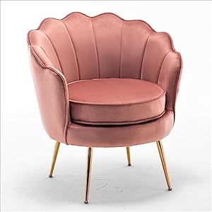 Velvet Barrel Accent Chair with Scalloped Silhouette and Gold Metal Legs Decorative Piece Suitable for Traditional Modern and Contemporary Spaces Rose
