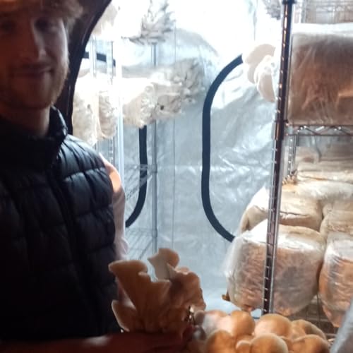 Cultiver les champignons, une passion qui prend racine