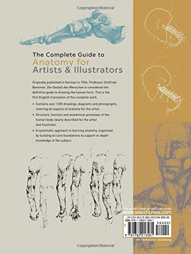 The Complete Guide to Anatomy for Artists & Illustrators: Drawing the Human Form Gebundene Ausgabe – Illustriert, 28. Februar 2017 - Image 3
