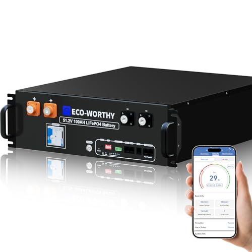 ECO-WORTHY Batterie LiFePO4 Server Rack 48V 100AH Bluetooth,Batterie Lifepo4 48V(51.2V)