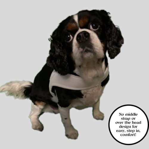 Dog Halter, Harness Works For Small And Medium Breed Dogs. Soft, Comfortable Dog Harness Is Adjustable, Lightweight-With Breathable Material. Pet Halter-Harness Is Machine Washable And Super Cute. #TOP4